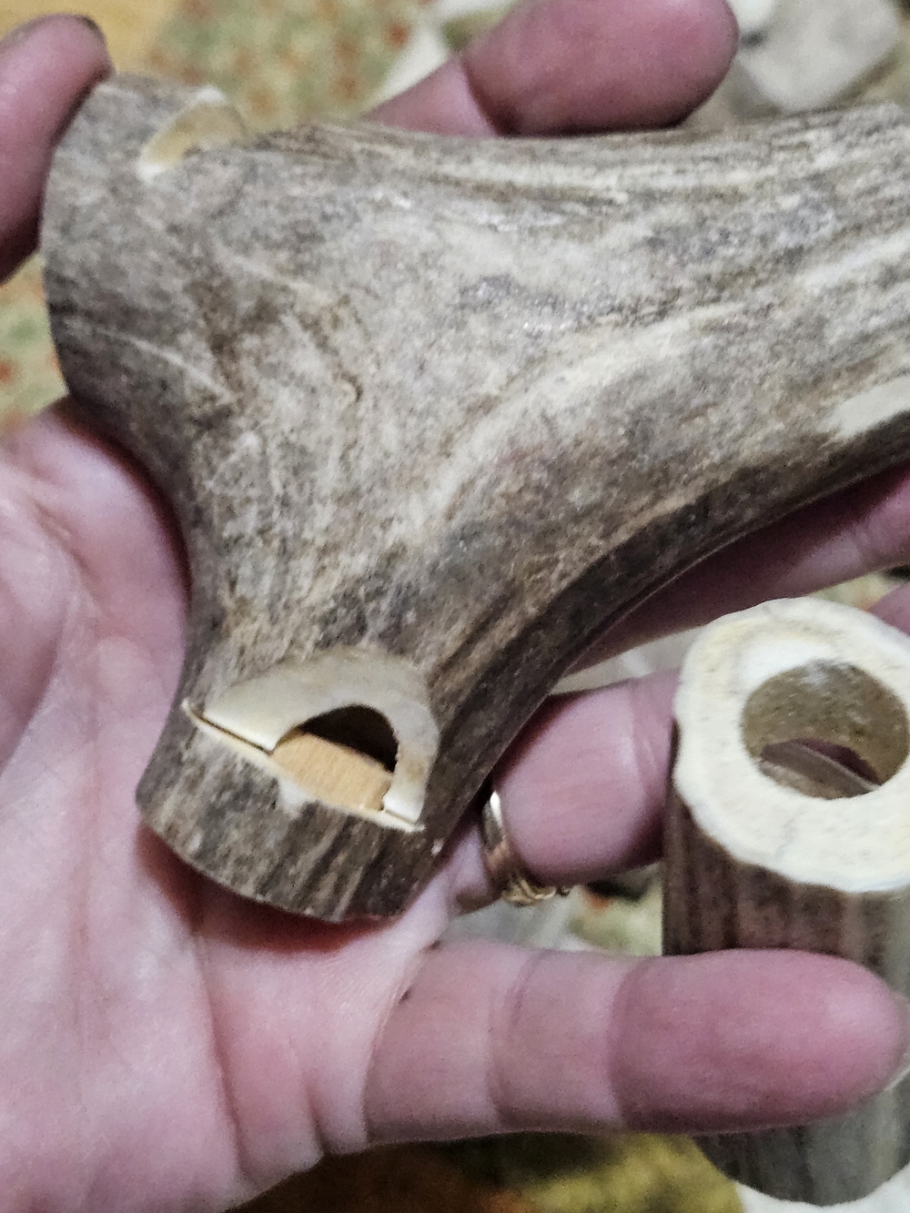 Natural Deer Antler Whistles?Accents? Cut And Drilled – Neutral Gray/Brown - Picture 11 of 16